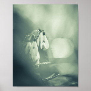 Poster av snurrar Natur Foto