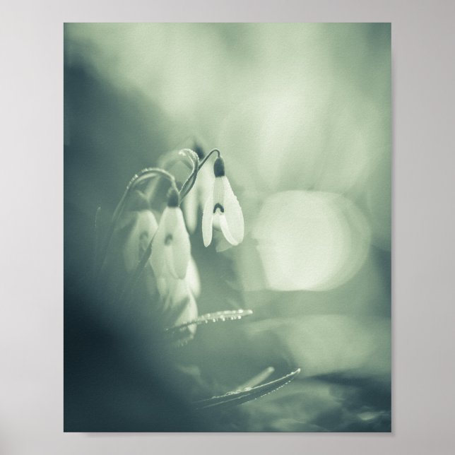 Poster av snurrar Natur Foto (Framsidan)