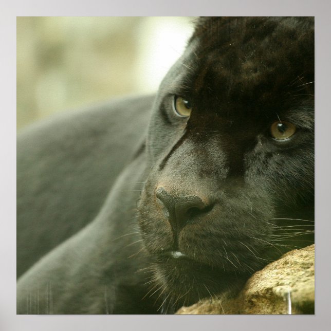 Poster av sömnplatta (Framsidan)