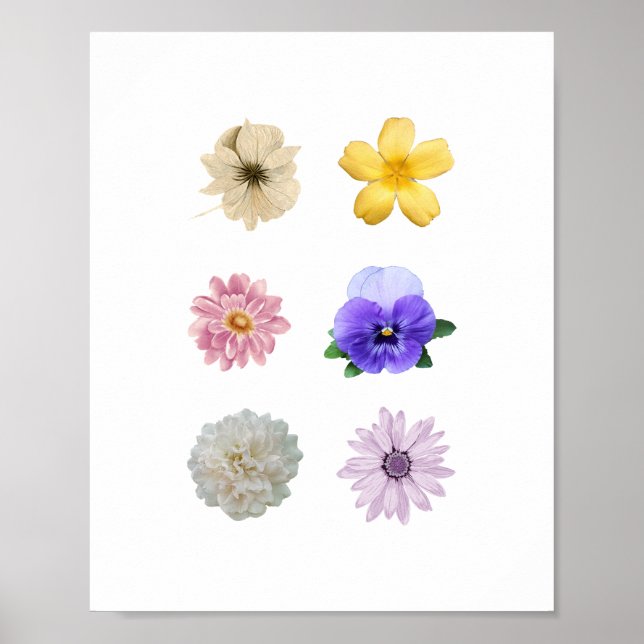 poster av söt-blomma (Framsidan)