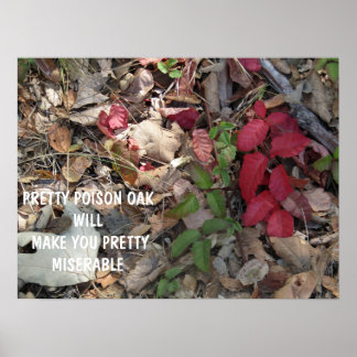Poster av söt Poison Oak Warning