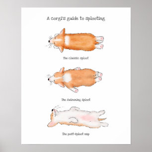 Poster av splotningsguiden för korgvalster