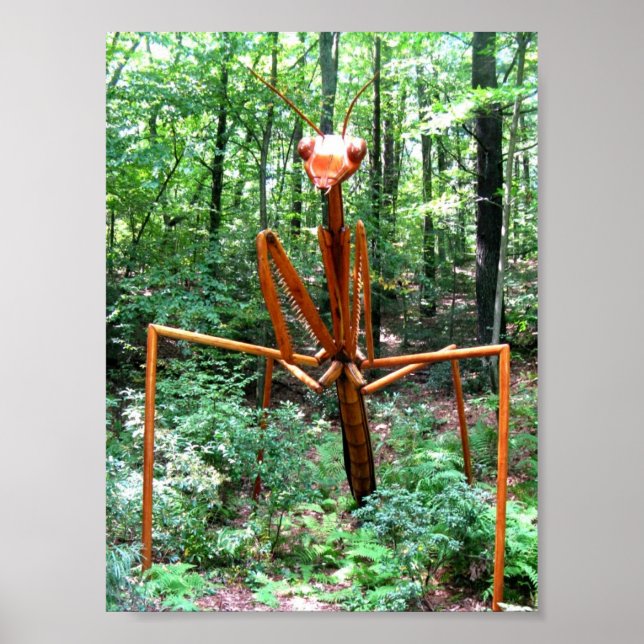 Poster av stora Praying Mantis (Framsidan)