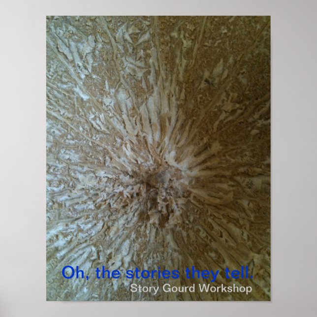 Poster av story Gourd - Inside (Framsidan)