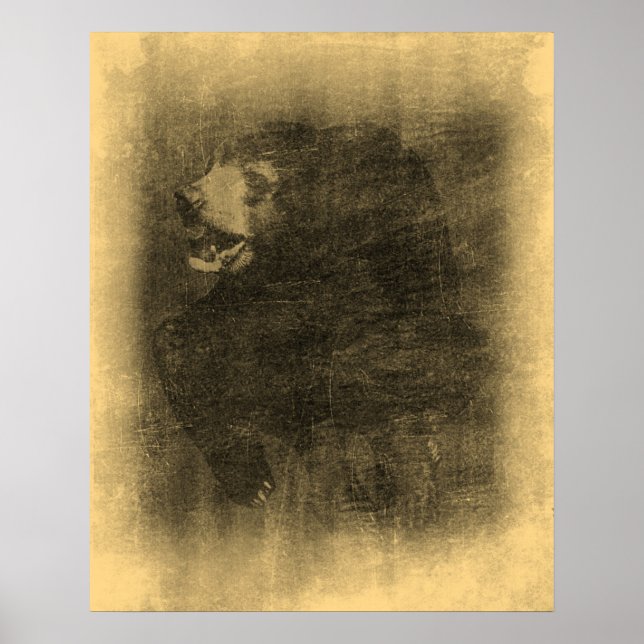 Poster av svart Vintage (Framsidan)