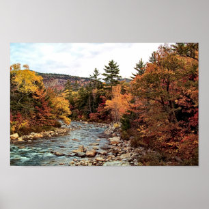 Poster av Swift River Autumn