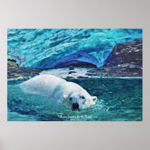 Poster av Swimming Polar Bear & Glacier Wildlife A