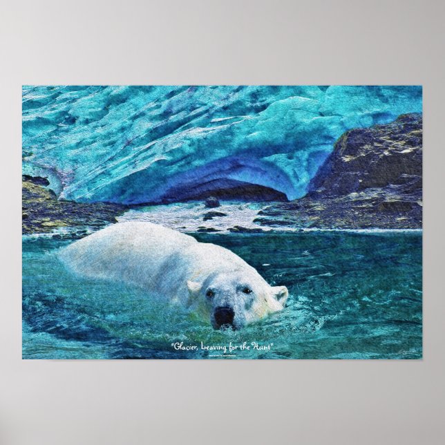 Poster av Swimming Polar Bear & Glacier Wildlife A (Framsidan)