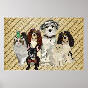 Poster av tassar, Klo och fjädrar