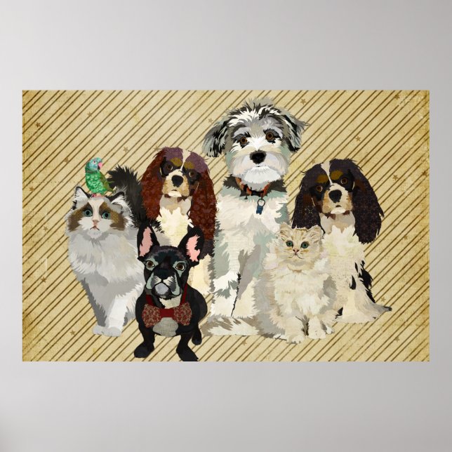 Poster av tassar, Klo och fjädrar (Framsidan)