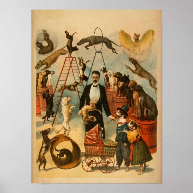 Poster av teatralisk Hund (Framsidan)