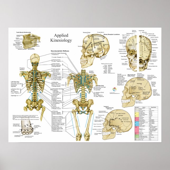Poster av tillämpad kinesiologi (Framsidan)