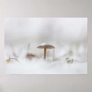 Poster av Tiny Mushroom Nature Photo