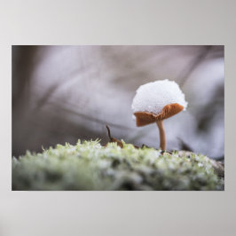 Poster av Tiny Mushroom Nature Photo