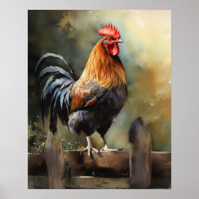 Poster av tupp Farm Animal Art Print  (Framsidan)