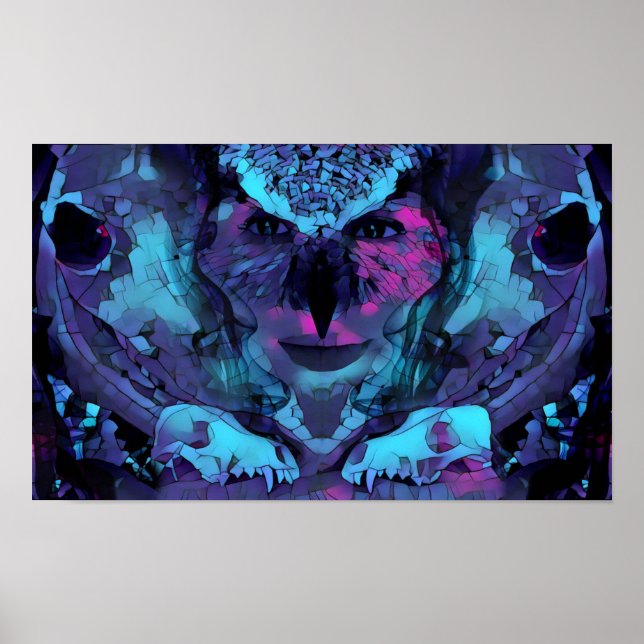 Poster av uggla-kvinnan av Dawn Art (Framsidan)