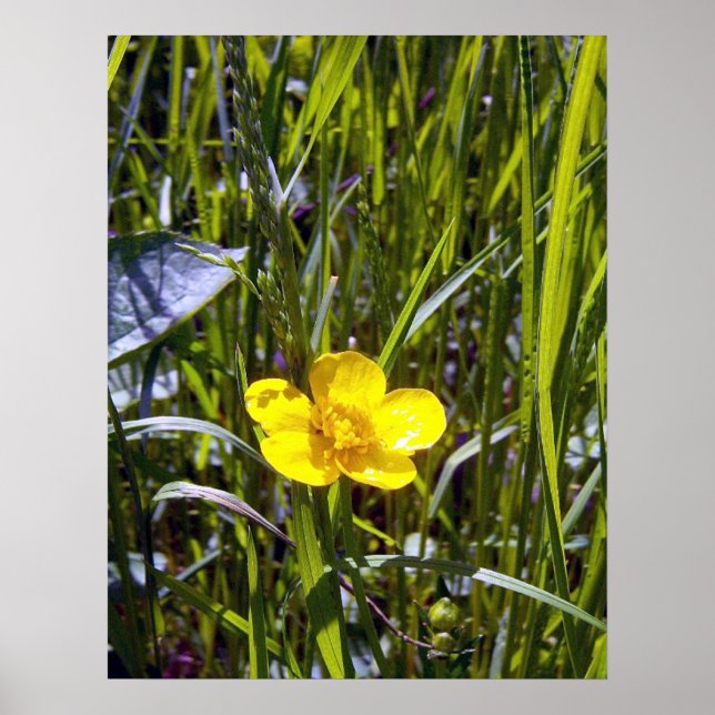 Poster av uppst-knapp (Framsidan)