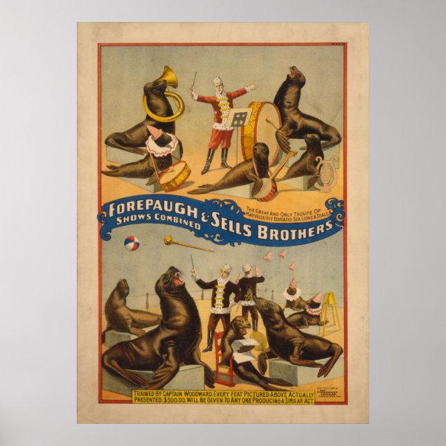 Poster av utbildad Sälar Circus - Forepaugh & Sell (Framsidan)