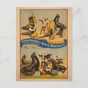 Poster av utbildad Sälar Circus - Forepaugh & Sell Vykort