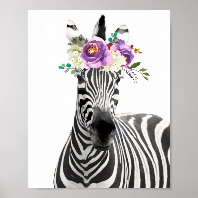 Poster av vacker Zebra (Framsidan)