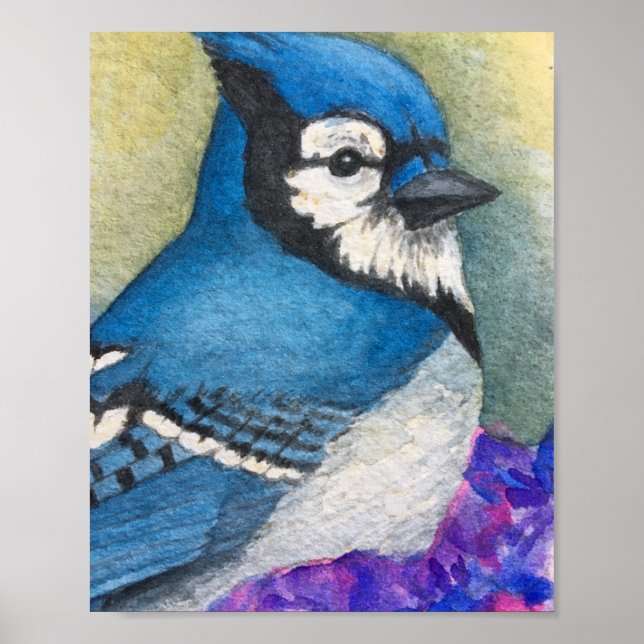 Poster av vackert Blue Jay Bird Watercolor (Framsidan)