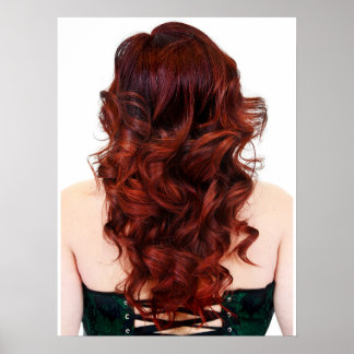 Poster av vackert brandombre' Salon