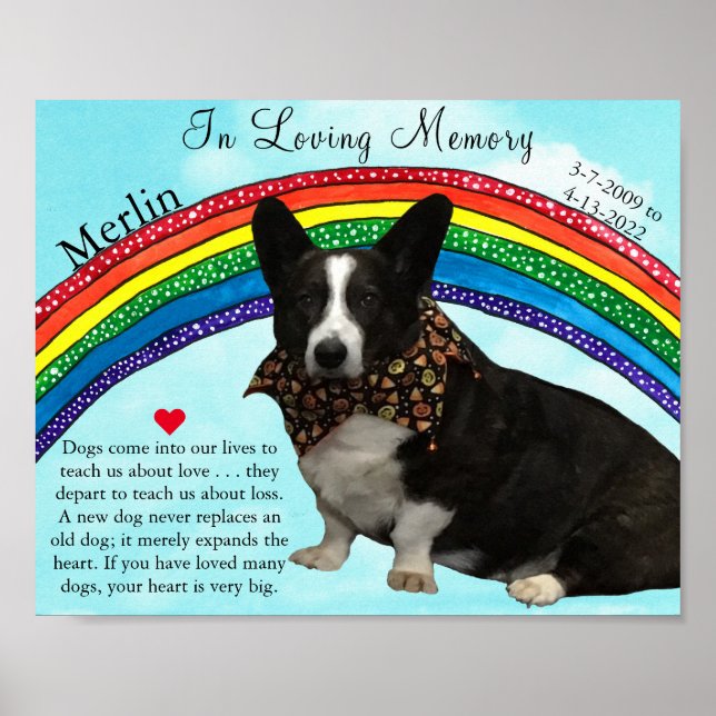 Poster av vackert regnbåge Pet Memorial (Framsidan)