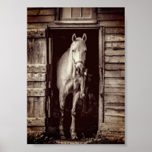 Poster av vackra hästar Rustic Brown Barn