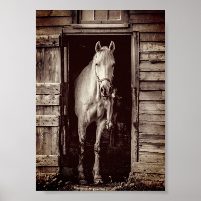 Poster av vackra hästar Rustic Brown Barn (Framsidan)