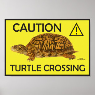 Poster av varningsköldpaddskorsning