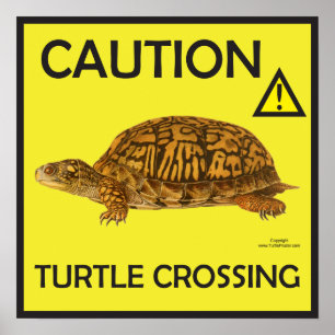 Poster av varningsköldpaddskorsning