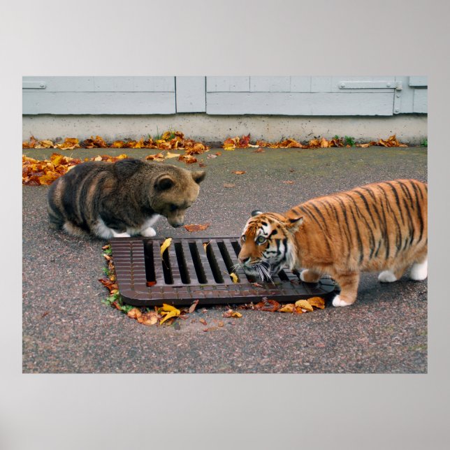 Poster av vattenhål i tätbebyggelse (Framsidan)