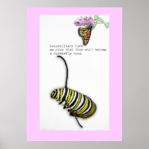 Poster av vattenpelare Haiku