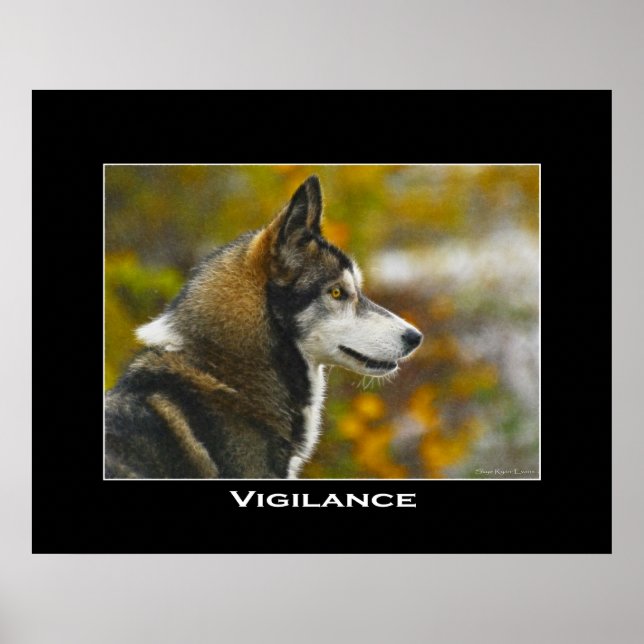 POSTER av VIGILANCE Grått Varg Art (Framsidan)