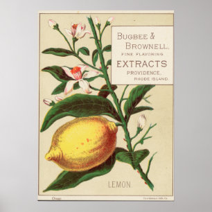 Poster av vintage Aromor Extract Advertisement