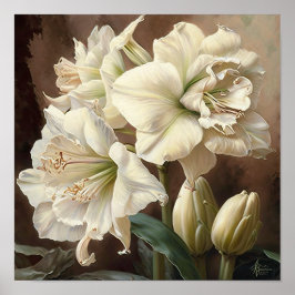Poster av vit Amaryllis Flower Art Print