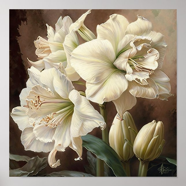 Poster av vit Amaryllis Flower Art Print (Framsidan)