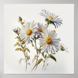 Poster av vit Aster Flower Art Print
