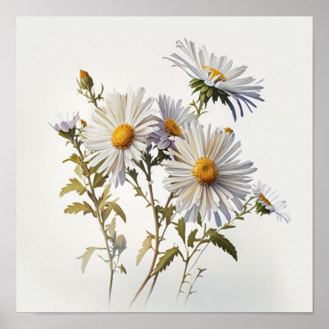 Poster av vit Aster Flower Art Print (Framsidan)