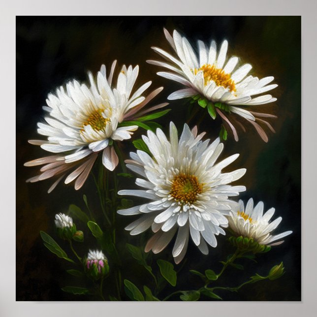 Poster av vit Aster Flower Art Print (Framsidan)