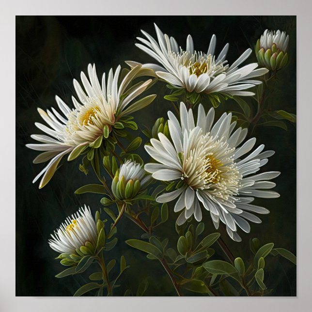 Poster av vit Aster Flower Art Print (Framsidan)