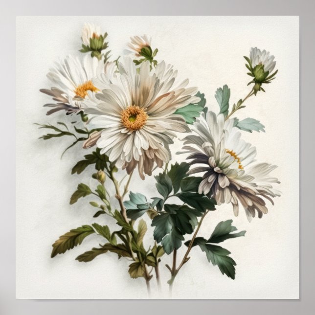 Poster av vit Aster Flower Art Print (Framsidan)