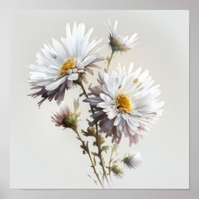 Poster av vit Aster Flower Art Print (Framsidan)