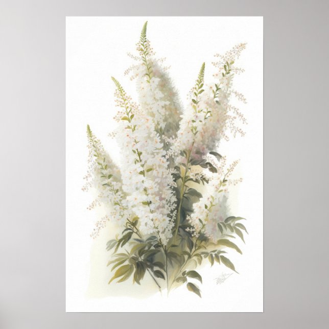 Poster av vit Astilbe Flower Art Print (Framsidan)