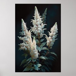 Poster av vit Astilbe Flower Art Print