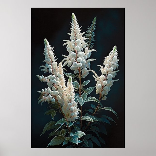 Poster av vit Astilbe Flower Art Print (Framsidan)