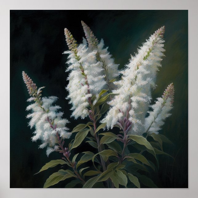 Poster av vit Astilbe Flower Art Print (Framsidan)