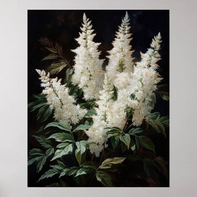 Poster av vit Astilbe Flowers Art Print (Framsidan)