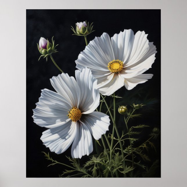 Poster av vit Cosmos Flowers Art Print (Framsidan)