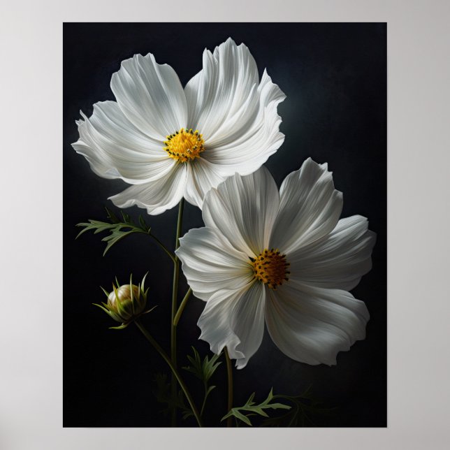 Poster av vit Cosmos Flowers Art Print (Framsidan)